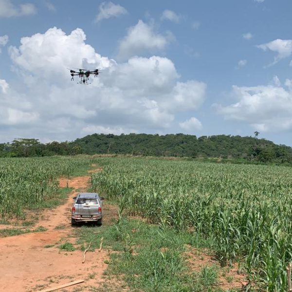 Green-Gold-Farms-Uses-Modern-Technology.jpeg